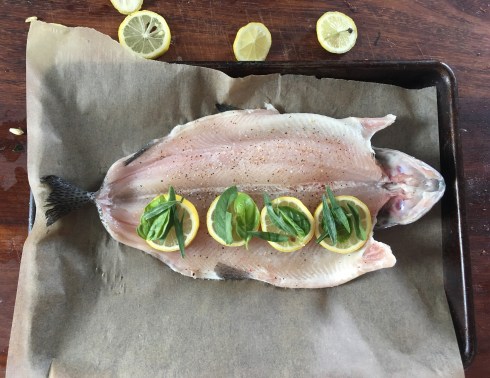 whole trout